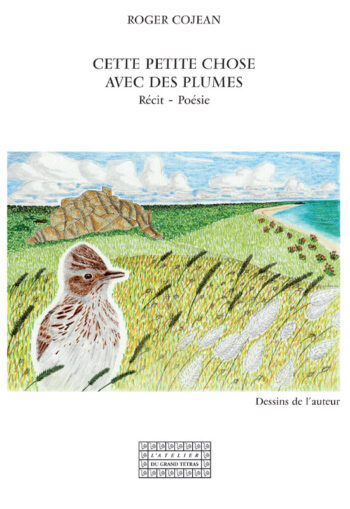 Cette petite chose avec des plumes