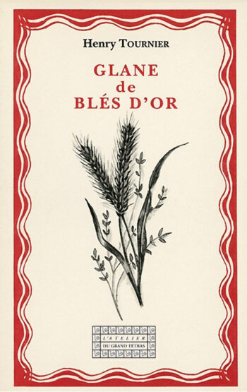 Glanes de blés d'or