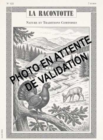 La Racontotte  N°109